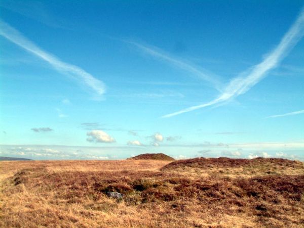 Browngelly Bodmin Moor